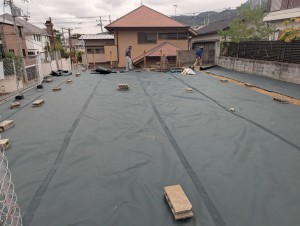 PXL_20250925_053325221