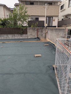 PXL_20250925_053409932