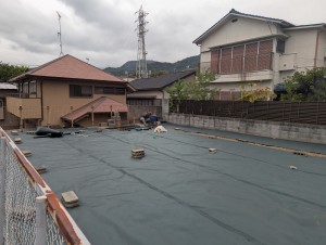 PXL_20250925_053414364