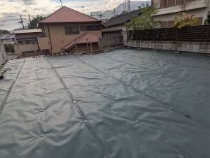 PXL_20250926_062824742