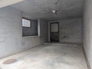 PXL_20251020_035542107